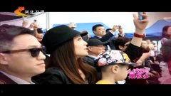 皮皮被爆料的视频,揭秘背后真相与争议